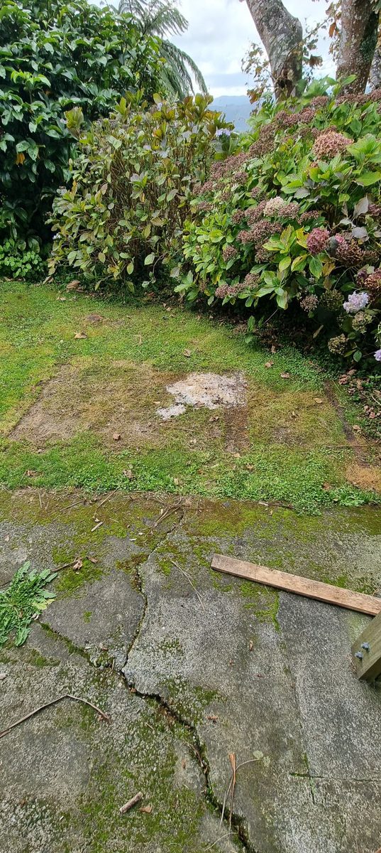 Lawn reinstated after underground drainage work at an Upper Hutt property